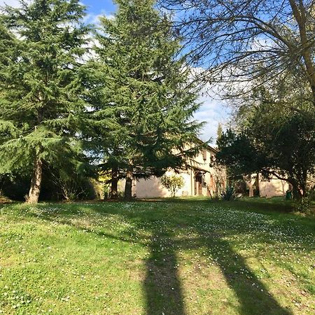 Agriturismo Bethsaid Fauglia Zewnętrze zdjęcie
