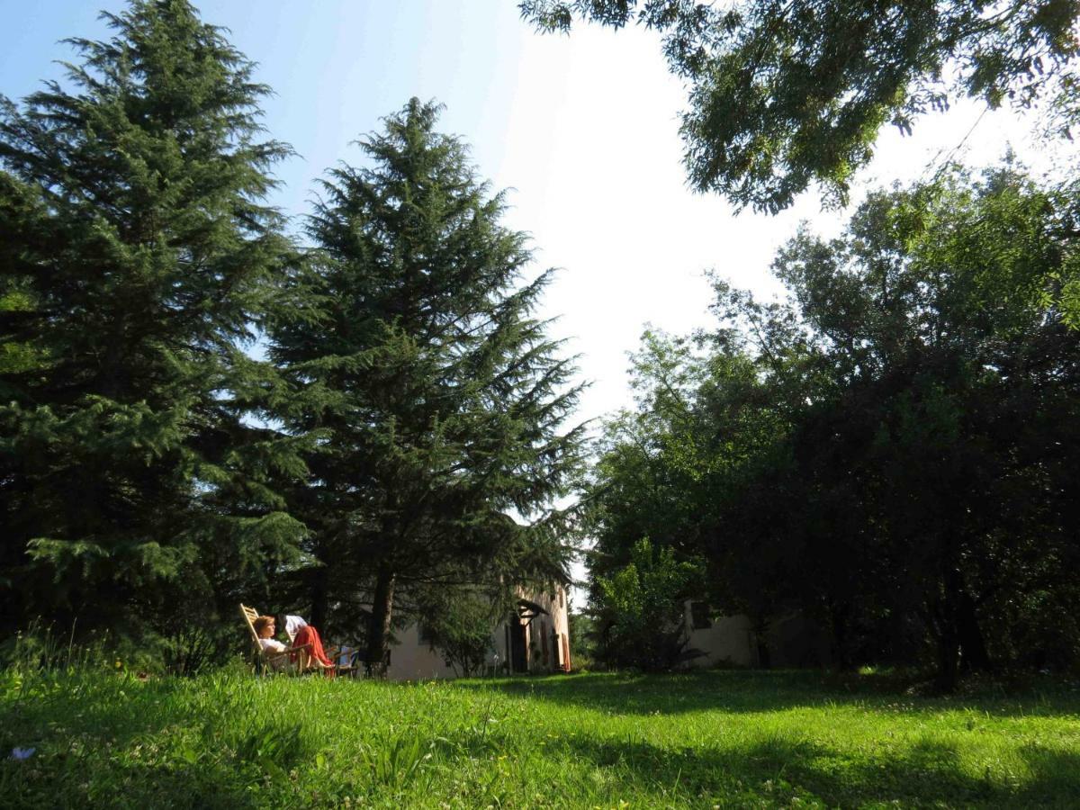 Agriturismo Bethsaid Fauglia Zewnętrze zdjęcie