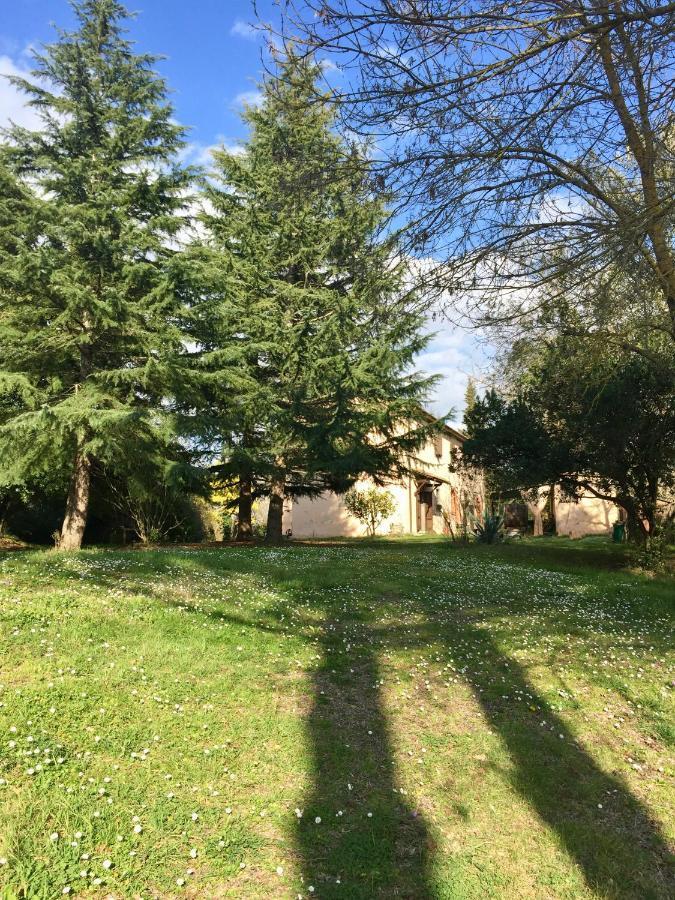 Agriturismo Bethsaid Fauglia Zewnętrze zdjęcie